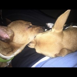 Meet your Posher, Mariah